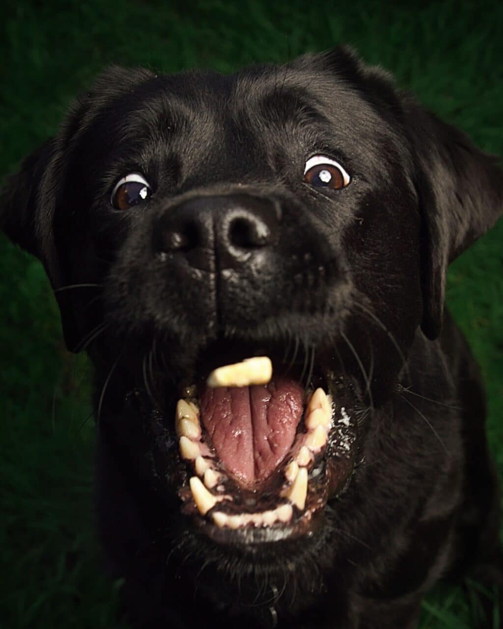 Instagram post from hanyphotography.gdynia. This post is in position 0.