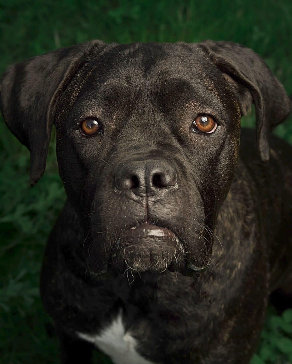 Instagram post from hanyphotography.gdynia. This post is in position 1.