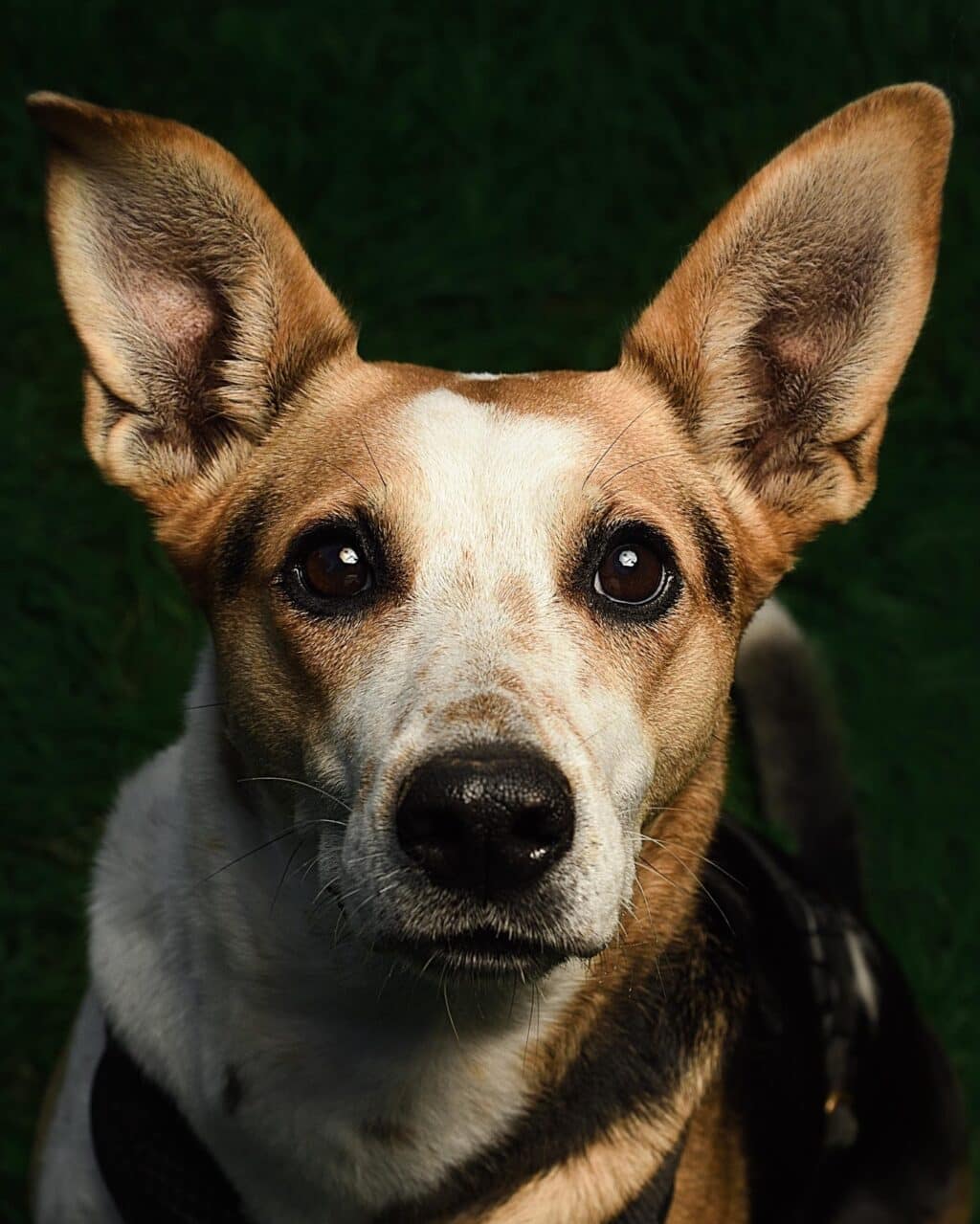 Instagram post from hanyphotography.gdynia. This post is in position 1.