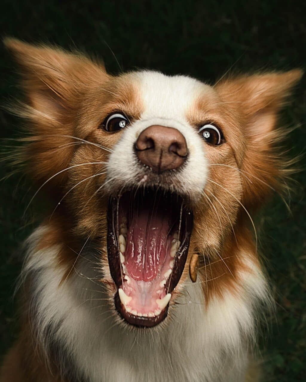 Instagram post from hanyphotography.gdynia. This post is in position 0.